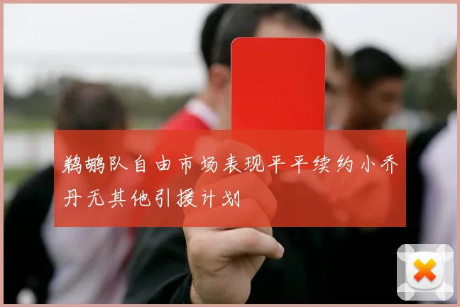 鹈鹕队自由市场表现平平续约小乔丹无其他引援计划