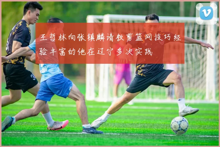 王哲林向张镇麟请教剪篮网技巧经验丰富的他在辽宁多次实践